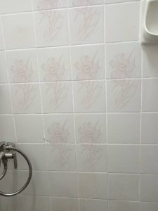 IMG 20251028 WA0052 225x300
